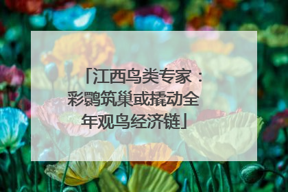 江西鸟类专家：彩鹮筑巢或撬动全年观鸟经济链