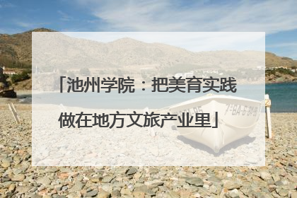 池州学院：把美育实践做在地方文旅产业里