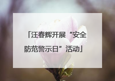 汪春辉开展“安全防范警示日”活动