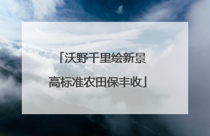 沃野千里绘新景 高标准农田保丰收