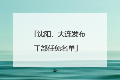 沈阳、大连发布干部任免名单