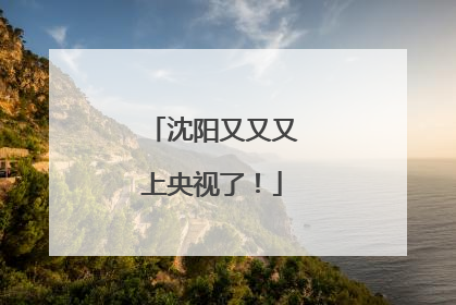 沈阳又又又上央视了！
