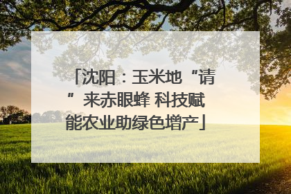 沈阳：玉米地“请”来赤眼蜂 科技赋能农业助绿色增产