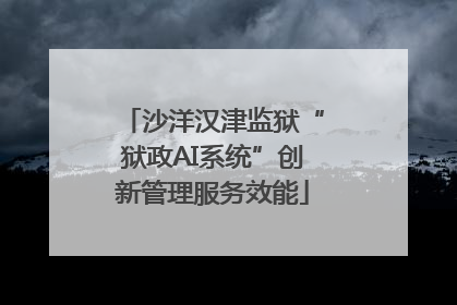沙洋汉津监狱“狱政AI系统”创新管理服务效能