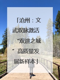 沧州：文武双脉激活“双遗之城”高质量发展新样本