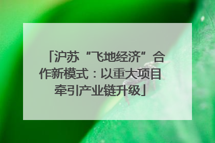 沪苏“飞地经济”合作新模式：以重大项目牵引产业链升级