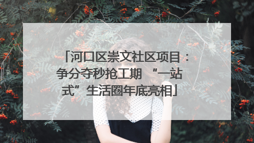 河口区崇文社区项目：争分夺秒抢工期 “一站式”生活圈年底亮相