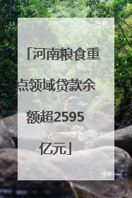 河南粮食重点领域贷款余额超2595亿元