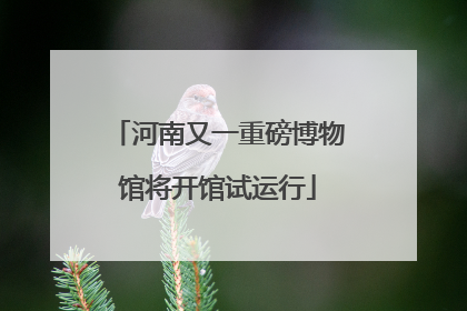 河南又一重磅博物馆将开馆试运行