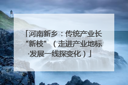 河南新乡：传统产业长“新枝”（走进产业地标·发展一线探变化）