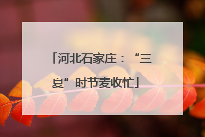 河北石家庄：“三夏”时节麦收忙
