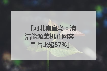 河北秦皇岛：清洁能源装机并网容量占比超57%