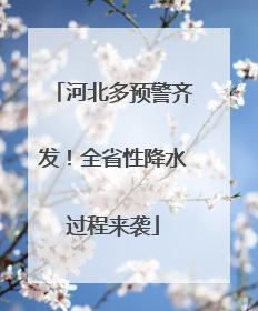 河北多预警齐发！全省性降水过程来袭