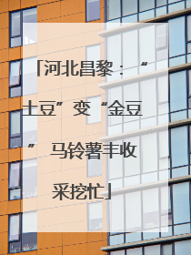 河北昌黎：“土豆”变“金豆” 马铃薯丰收采挖忙