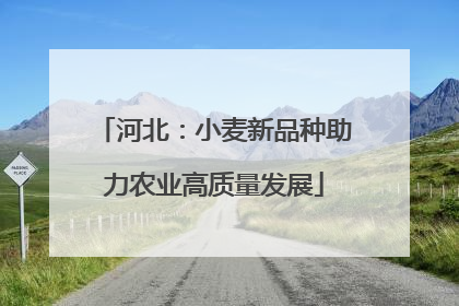 河北：小麦新品种助力农业高质量发展