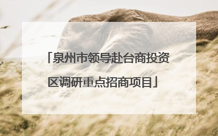 泉州市领导赴台商投资区调研重点招商项目