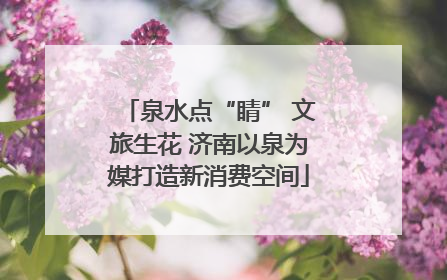 泉水点“睛” 文旅生花 济南以泉为媒打造新消费空间