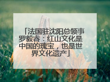 法国驻沈阳总领事罗毅睿：红山文化是中国的瑰宝，也是世界文化遗产