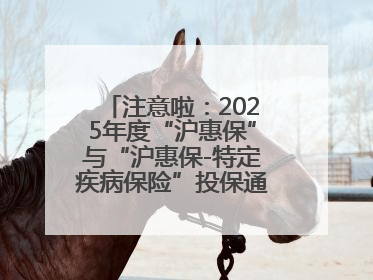 注意啦：2025年度“沪惠保”与“沪惠保-特定疾病保险”投保通道即将关闭！