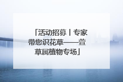 活动招募丨专家带您识花草——萱草属植物专场