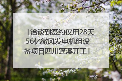 洽谈到签约仅用28天 56亿微风发电机组设备项目四川蓬溪开工