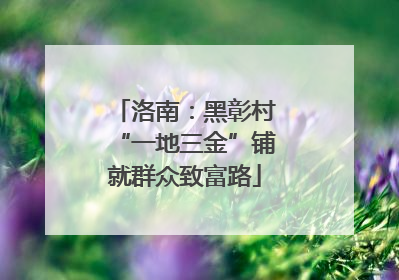 洛南：黑彰村“一地三金”铺就群众致富路
