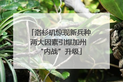 洛杉矶惊现新兵种 两大因素引爆加州“内战”升级