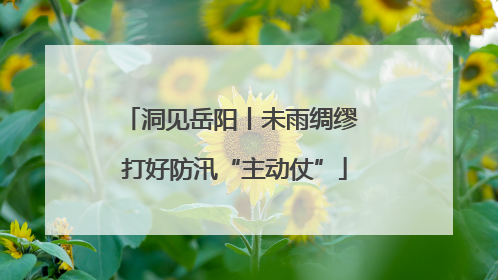 洞见岳阳丨未雨绸缪 打好防汛“主动仗”