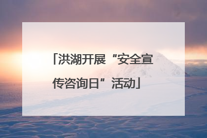 洪湖开展“安全宣传咨询日”活动