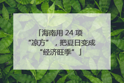 海南用 24 项 “凉方”，把夏日变成 “经济旺季”