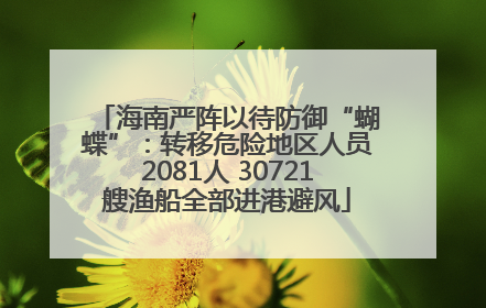 海南严阵以待防御“蝴蝶”：转移危险地区人员2081人 30721艘渔船全部进港避风