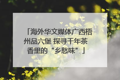 海外华文媒体广西梧州品六堡 探寻千年茶香里的“乡愁味”