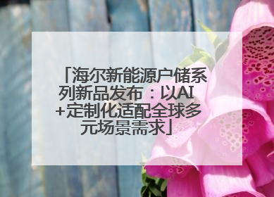 海尔新能源户储系列新品发布：以AI+定制化适配全球多元场景需求