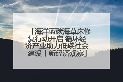 海洋蓝碳海草床修复行动开启 循环经济产业助力低碳社会建设丨新经济观察
