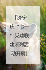 济宁：庆“七一”党建联建系列活动开展