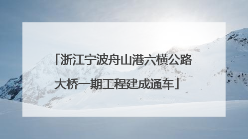 浙江宁波舟山港六横公路大桥一期工程建成通车