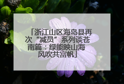 浙江山区海岛县再次“减员”系列谈苍南篇：绿能映山海 风吹共富帆