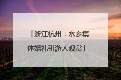 浙江杭州：水乡集体婚礼引游人观赏