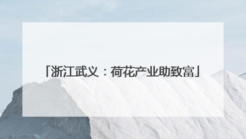 浙江武义：荷花产业助致富