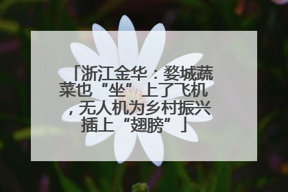 浙江金华：婺城蔬菜也“坐”上了飞机，无人机为乡村振兴插上“翅膀”