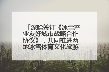深哈签订《冰雪产业友好城市战略合作协议》，共同推进两地冰雪体育文化旅游高质量发展
