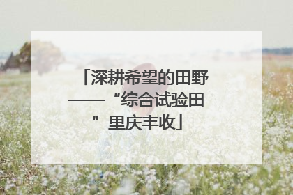 深耕希望的田野——“综合试验田”里庆丰收