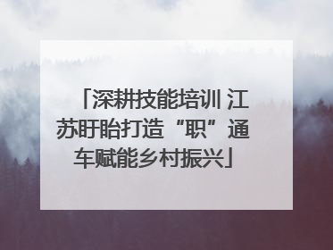 深耕技能培训 江苏盱眙打造“职”通车赋能乡村振兴