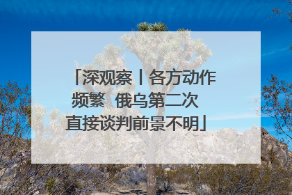 深观察丨各方动作频繁  俄乌第二次直接谈判前景不明
