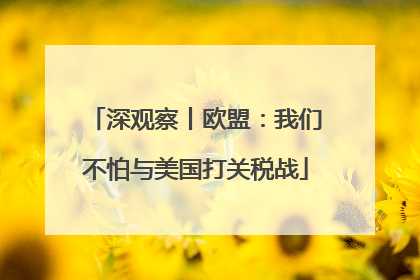 深观察丨欧盟：我们不怕与美国打关税战