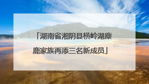 湖南省湘阴县横岭湖麋鹿家族再添三名新成员