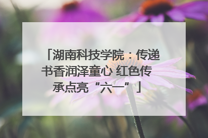 湖南科技学院：传递书香润泽童心 红色传承点亮“六一”