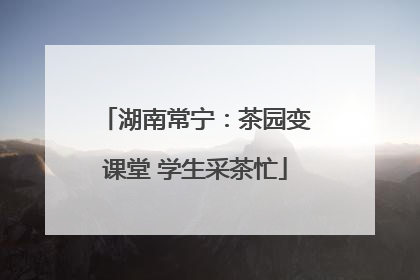 湖南常宁：茶园变课堂 学生采茶忙