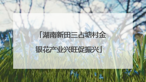 湖南新田三占塘村金银花产业兴旺促振兴