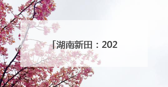 湖南新田：2025年高考首场考试结束 考生有序走出考场（组图）